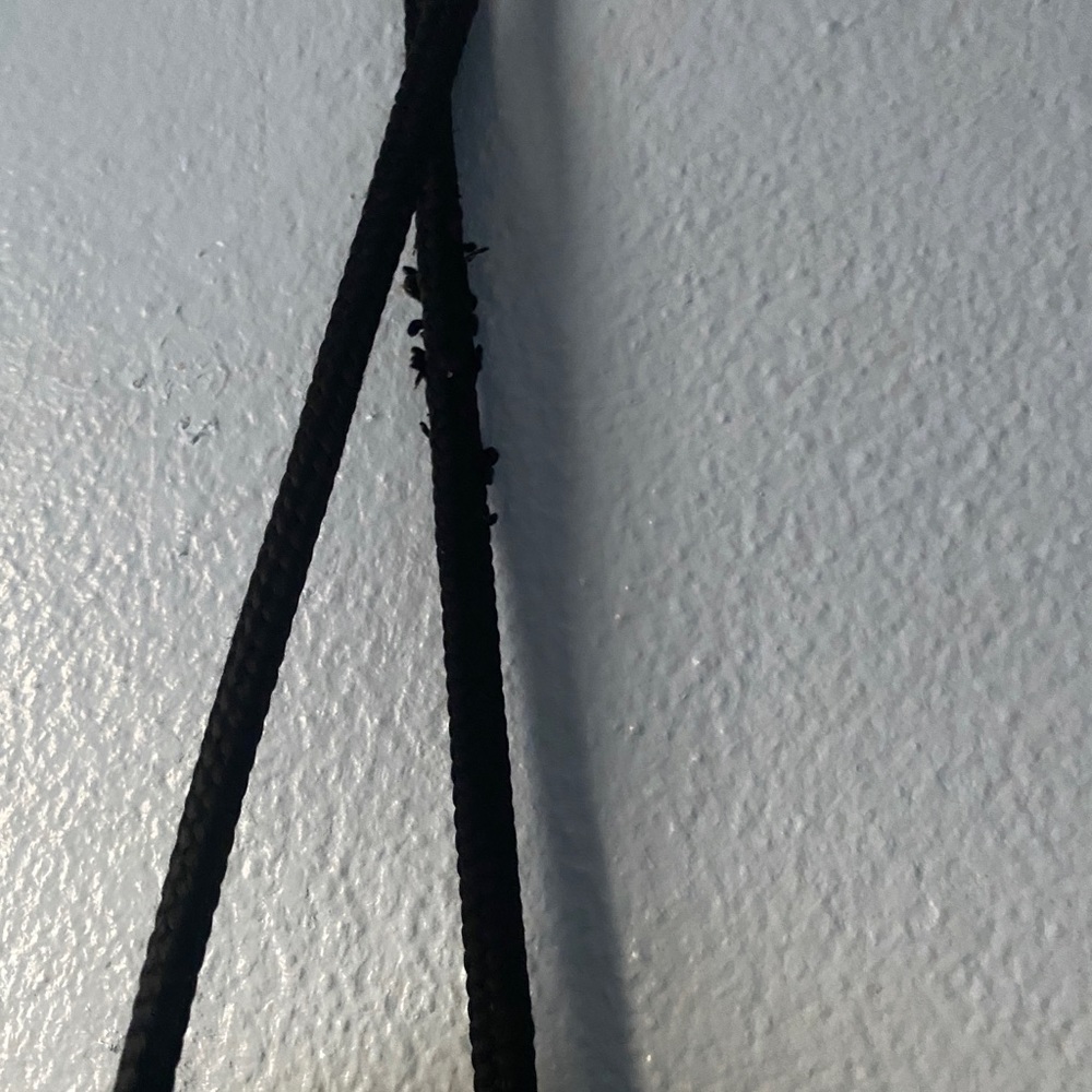 Adidas Drawstring - Picture 2 of 4